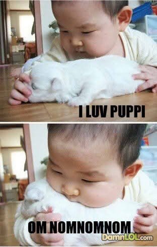 Baby eats puppy.