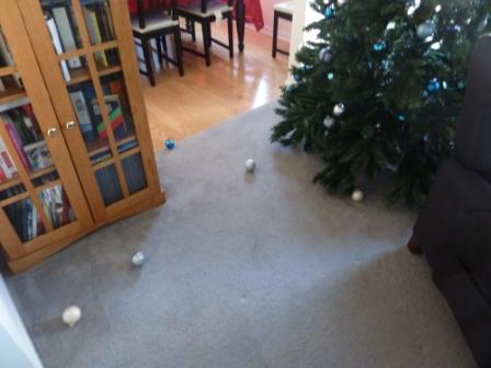 normal morning ornament count