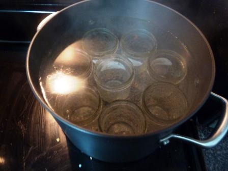 I think it's easiest to sanitize in a stockpot.  